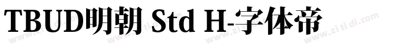 TBUD明朝 Std H字体转换